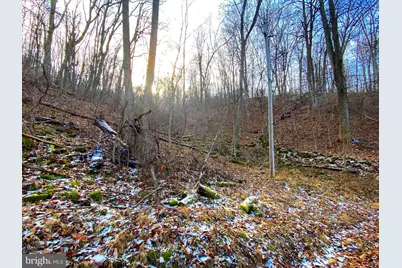 00 Hickory Tree Road, Front Royal, VA 22630 - Photo 15