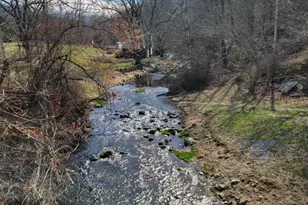 5865 Gooney Manor Loop, Bentonville, VA 22610 - Photo 7