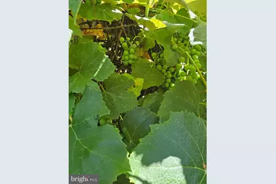 1321 Woodside Avenue, Front Royal, VA 22630 - Photo 27