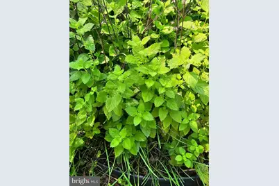 1321 Woodside Avenue, Front Royal, VA 22630 - Photo 25