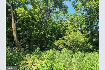 Stonewall Jackson Highway, Front Royal, VA 22630 - Photo 5