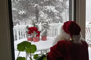 175 Mountain Heights Rd, Front Royal, VA 22630 - Photo 63