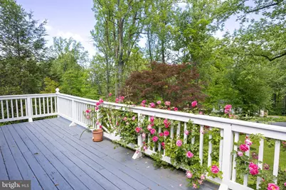 175 Mountain Heights Road, Front Royal, VA 22630 - Photo 45