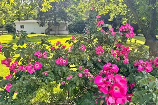 14 Summit Point Dr, Front Royal, VA 22630 - Photo 25