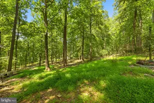 247 Marsden Hts Rd, Linden, VA 22642 - Photo 77