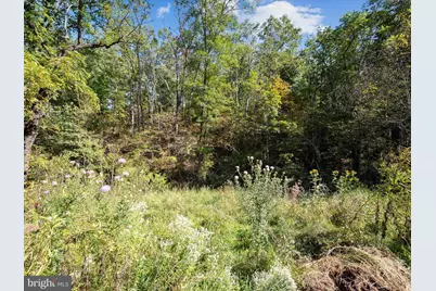 0 Penny Ann Lane, Strasburg, VA 22657 - Photo 3