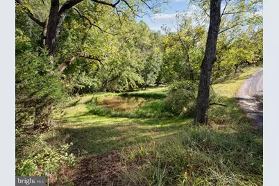 Penny Ann Lane, Strasburg, VA 22657 - Photo 11