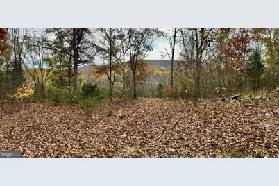 0 Old Cave Road, Front Royal, VA 22630 - Photo 3