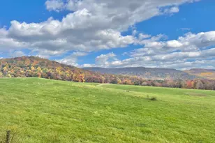 Lot 63C Buck Mountain Rd, Bentonville, VA 22610 - Photo 27