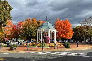 Lot 63C Buck Mountain Rd, Bentonville, VA 22610 - Photo 29