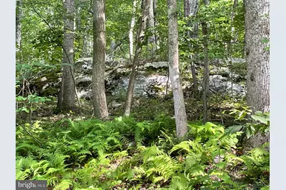 236 Piedmont Orchard Road, Linden, VA 22642 - Photo 27