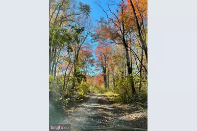 236 Piedmont Orchard Road, Linden, VA 22642 - Photo 29