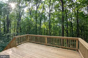 111 Bloodroot Rd, Front Royal, VA 22630 - Photo 23