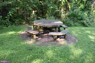 111 Bloodroot Rd, Front Royal, VA 22630 - Photo 55