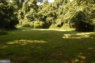 111 Bloodroot Rd, Front Royal, VA 22630 - Photo 53