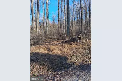 Reid Drive, Front Royal, VA 22630 - Photo 7