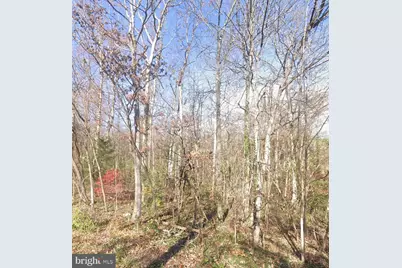 00 Lower Valley Road, Strasburg, VA 22657 - Photo 1