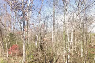 00 Lower Valley Rd, Strasburg, VA 22657 - Photo 1