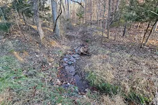 1152 Blue Mountain Rd, Front Royal, VA 22630 - Photo 5