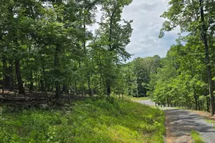 Lot 69/70 Driftwood Dr, Gerrardstown, WV 25420 - Photo 5