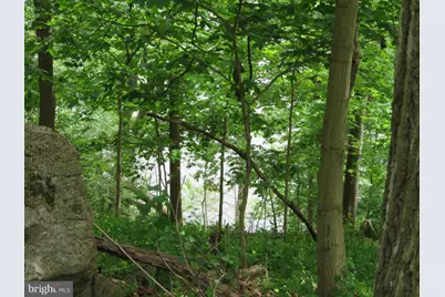 139-118 Boo Boo Boulevard, Falling Waters, WV 25419 - Photo 13