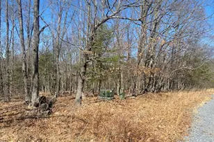 Tbd Marigold, Gerrardstown, WV 25420 - Photo 3