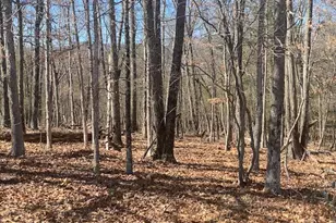 Tbd Marigold, Gerrardstown, WV 25420 - Photo 7