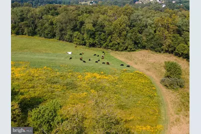 Tbd Marigold, Gerrardstown, WV 25420 - Photo 37