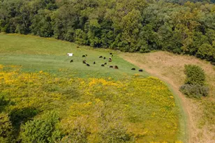 Tbd Marigold, Gerrardstown, WV 25420 - Photo 37