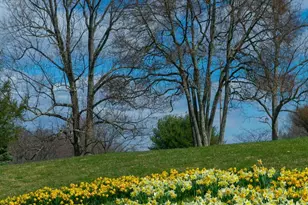 2548 Mountain Lake Rd, Hedgesville, WV 25427 - Photo 21