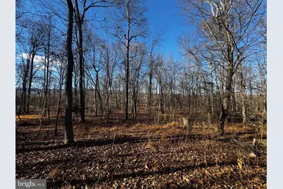 20 Hallows Way, Gerrardstown, WV 25420 - Photo 35