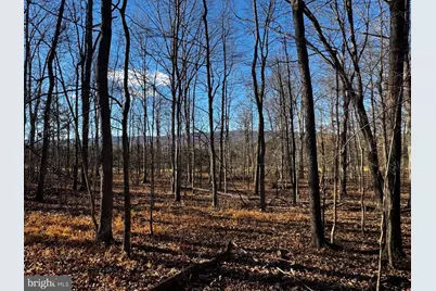 20 Hallows Way, Gerrardstown, WV 25420 - Photo 9