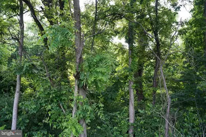 Harold Drive, Martinsburg, WV 25403 - Photo 5