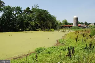 220 Stotelmyer Ln, Martinsburg, WV 25405 - Photo 53