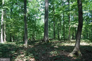 220 Stotelmyer Ln, Martinsburg, WV 25405 - Photo 29