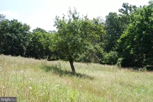 220 Stotelmyer Ln, Martinsburg, WV 25405 - Photo 47