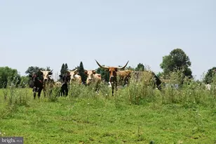 220 Stotelmyer Ln, Martinsburg, WV 25405 - Photo 3