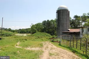 220 Stotelmyer Ln, Martinsburg, WV 25405 - Photo 9