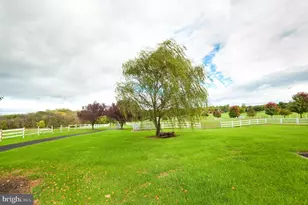 590 Carlyle Rd, Martinsburg, WV 25404 - Photo 65