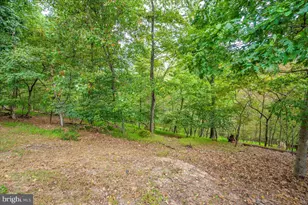 259 Nemacolin Trail, Hedgesville, WV 25427 - Photo 49