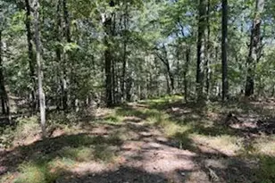 0 Palmer Rd, Gerrardstown, WV 25420 - Photo 11