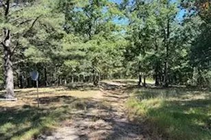 0 Palmer Rd, Gerrardstown, WV 25420 - Photo 31