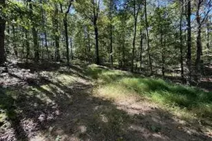 0 Palmer Rd, Gerrardstown, WV 25420 - Photo 7