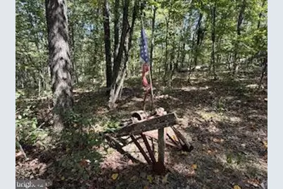 0 Palmer Road, Gerrardstown, WV 25420 - Photo 9