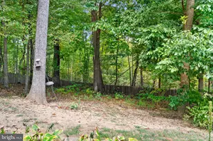 105 Lackawanna Ln, Falling Waters, WV 25419 - Photo 65