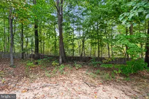 105 Lackawanna Ln, Falling Waters, WV 25419 - Photo 67