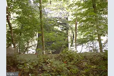 111 Aspero Lane, Falling Waters, WV 25419 - Photo 7