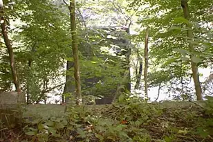 111 Aspero Ln, Falling Waters, WV 25419 - Photo 7