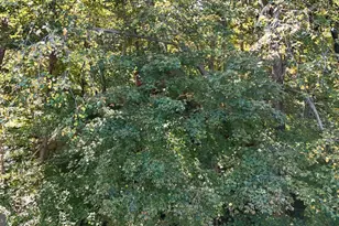 111 Aspero Ln, Falling Waters, WV 25419 - Photo 25