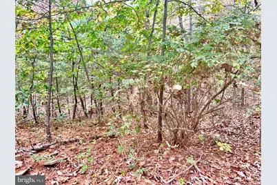 Parcel 38 Conservation Drive, Hedgesville, WV 25427 - Photo 5